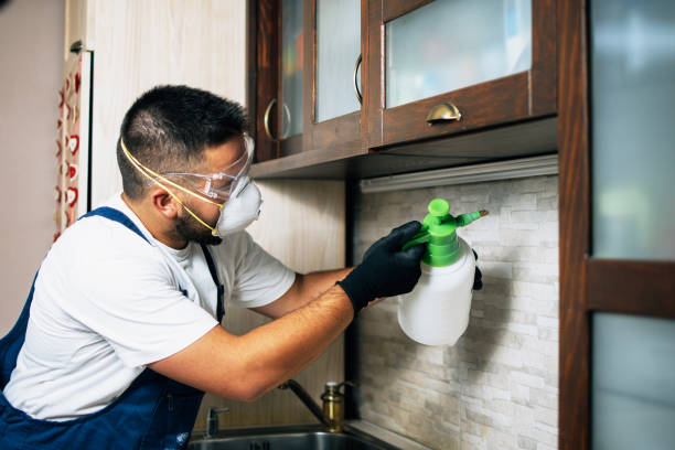 Best Mosquito Control Services  in Orange City, IA