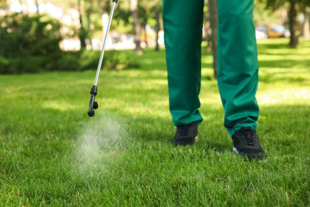 Best Flea Control Services  in Orange City, IA