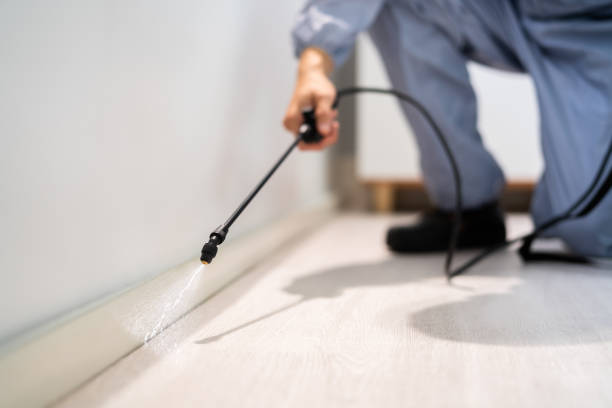Best Pest Removal Services  in Orange City, IA