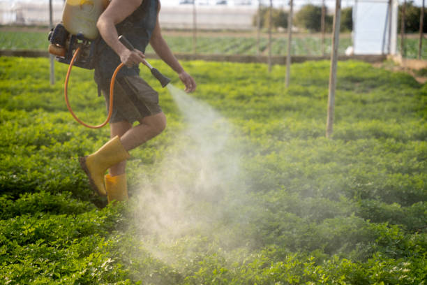 Pest Control for Restaurants in Orange City, IA
