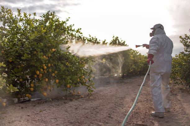 Best Pest Inspection Near Me  in Orange City, IA