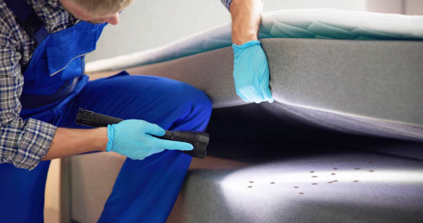 Best Pest Prevention Services  in Orange City, IA