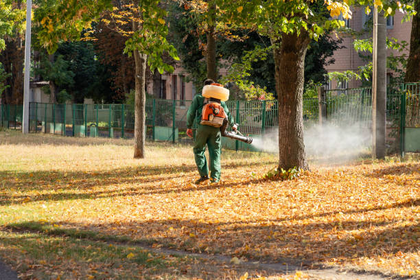 Best Pest Prevention Services  in Orange City, IA