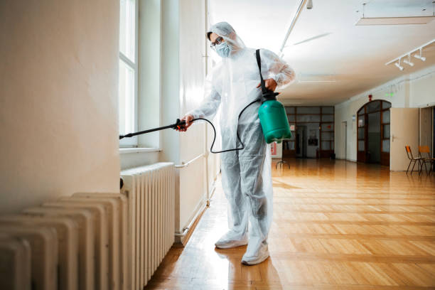 Best Wasp Removal Services  in Orange City, IA