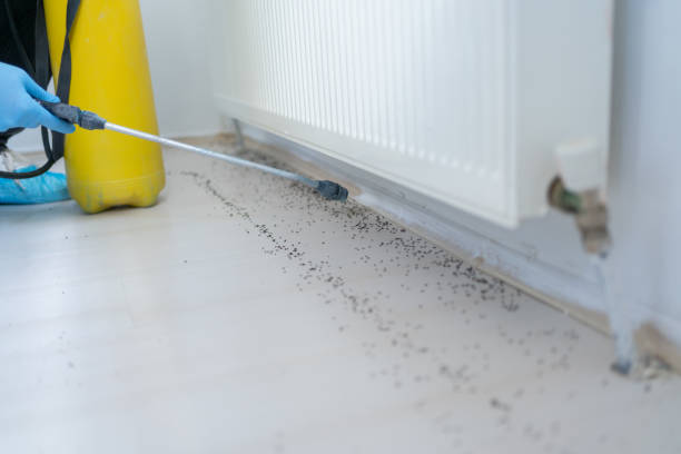 Best Pest Removal Services  in Orange City, IA