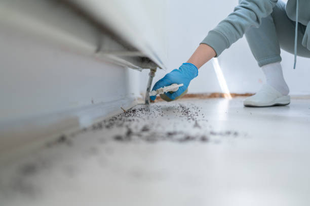 Best Affordable Pest Control Services  in Orange City, IA